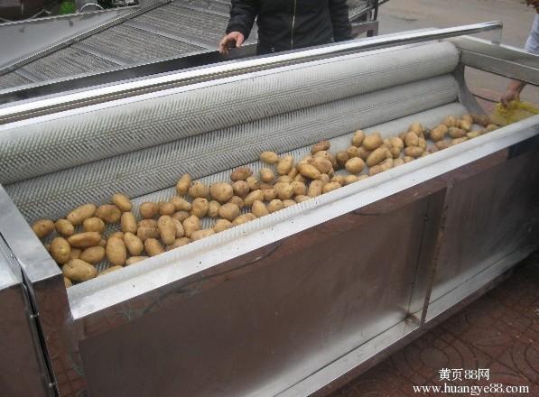 土豆清洗去皮機(jī)